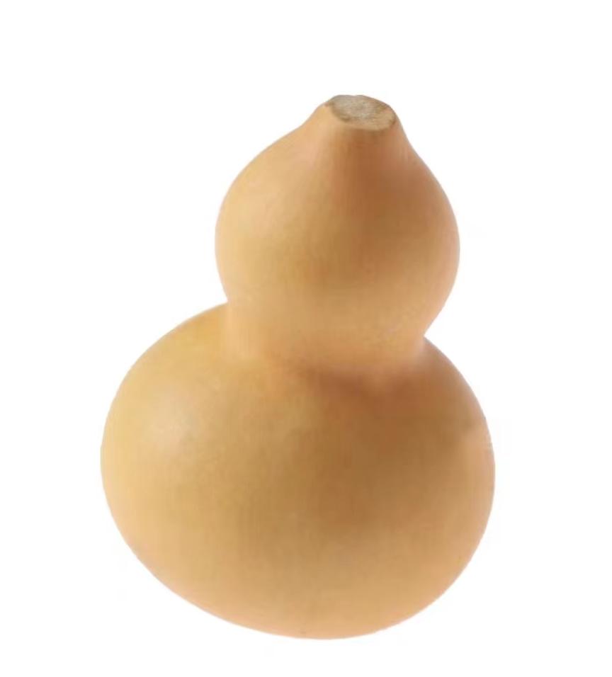 Gourds H001