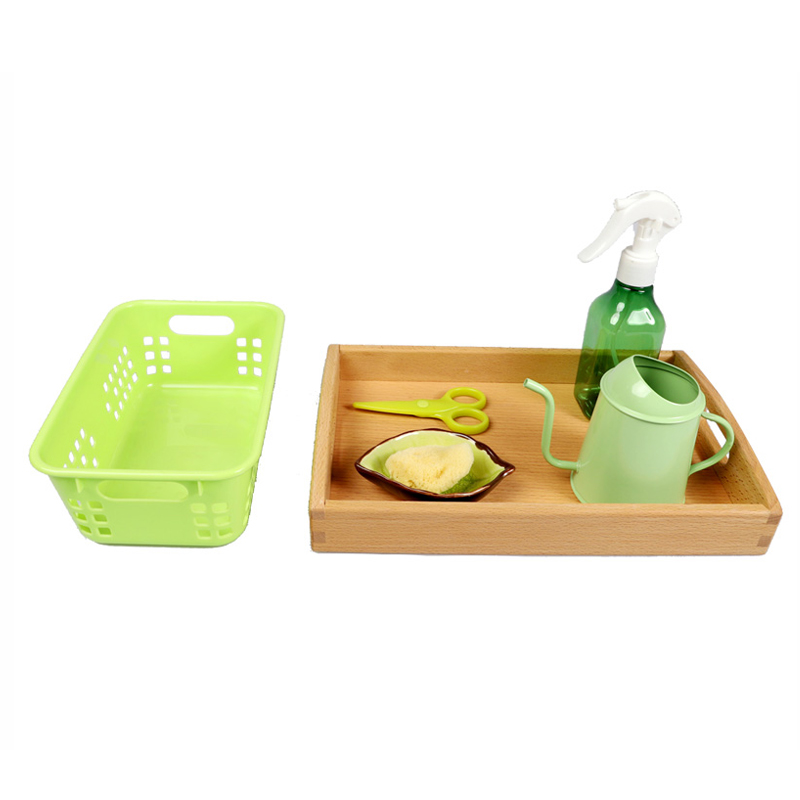 Cleaning and Watering Plants D714