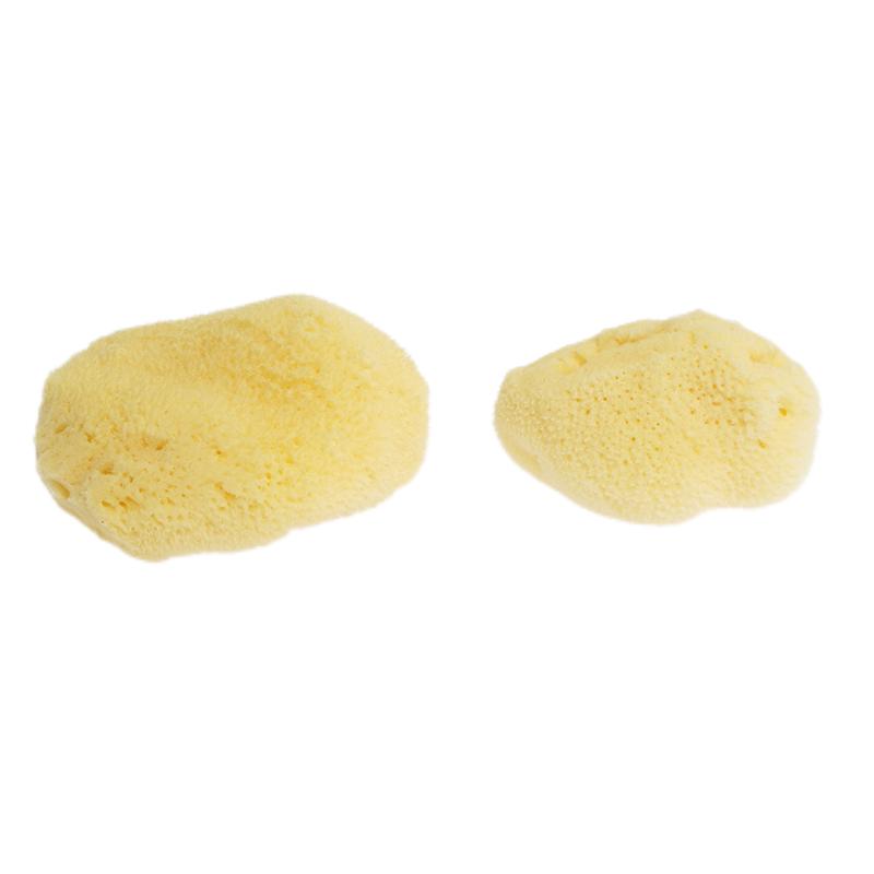 Small Natural Sponge D718-10