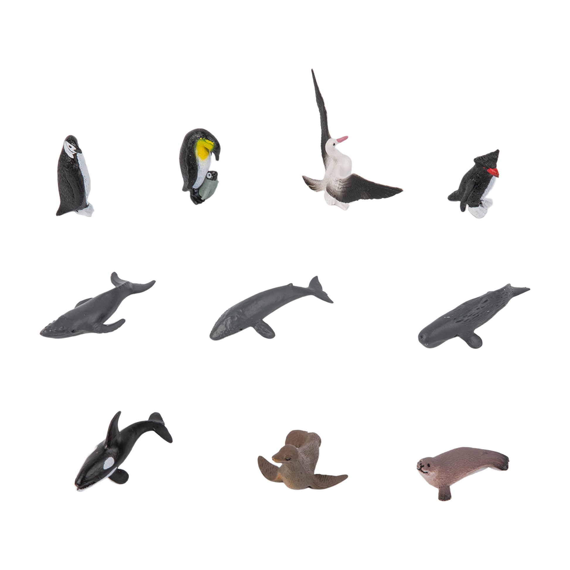 Animal from Antarctica objects G102-4