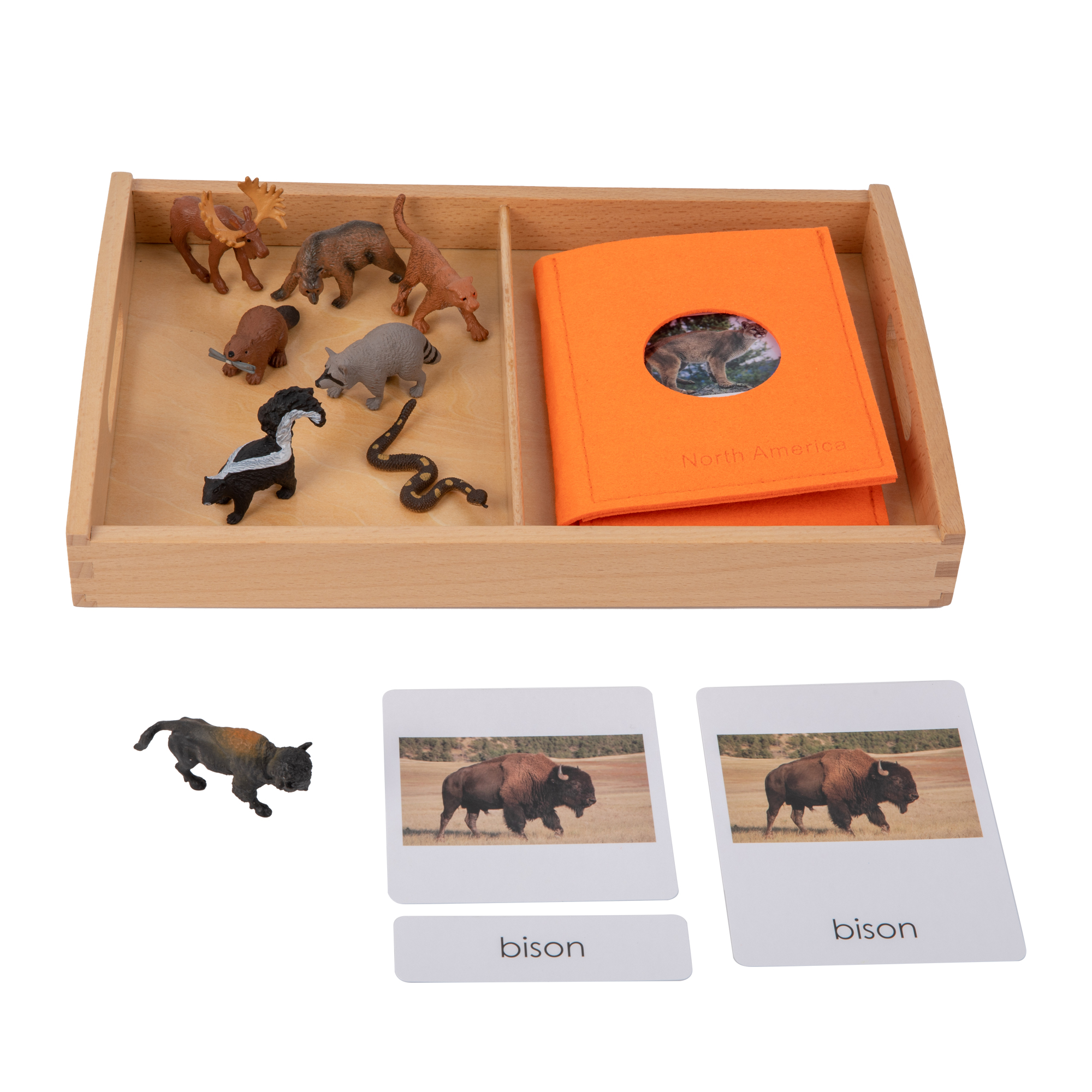 Animal from North America Objects with Sorting Cards G030-4+G030-4M-1+D064