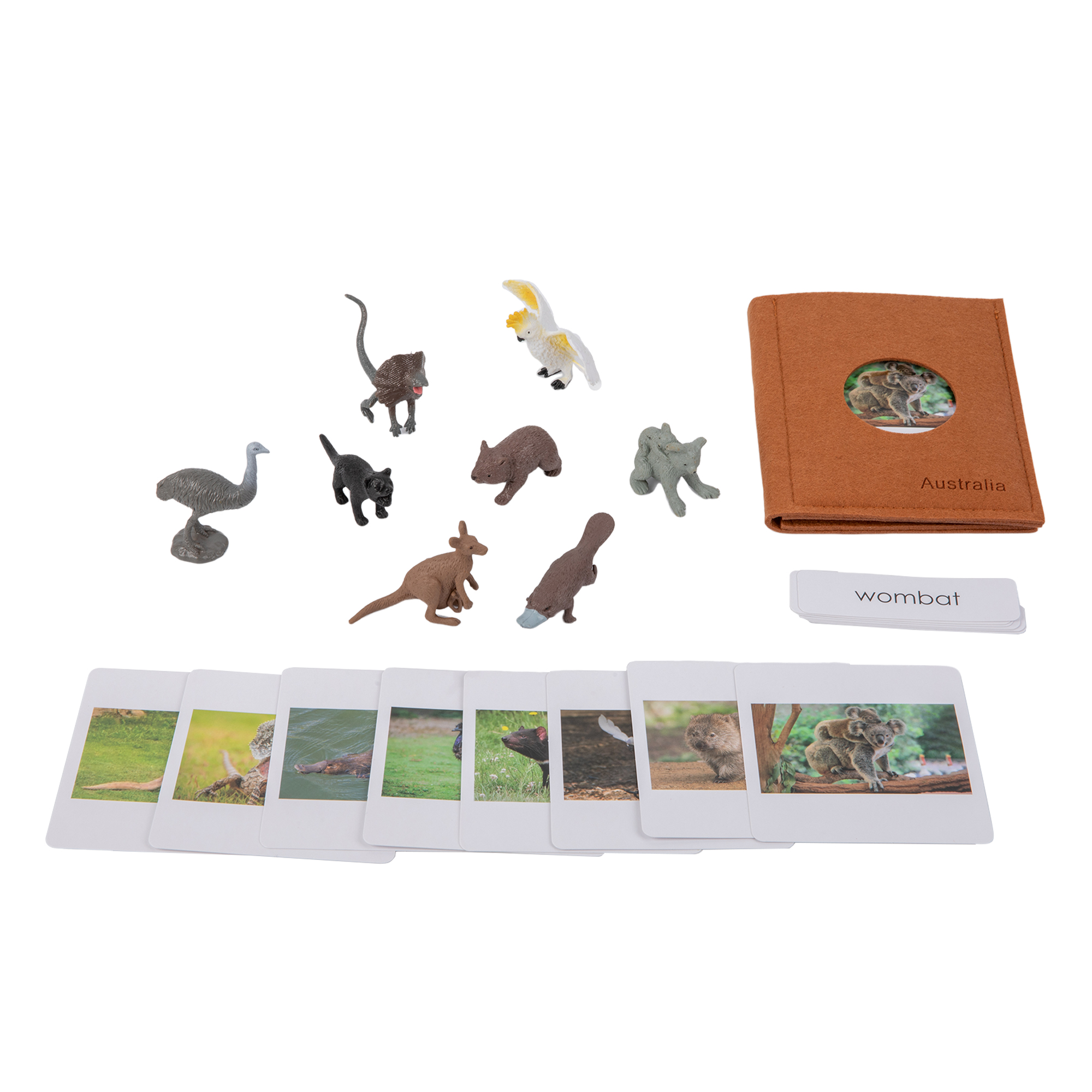 Animal from Australia Objects with Sorting Cards G070-4+G070-4M-1+D064 