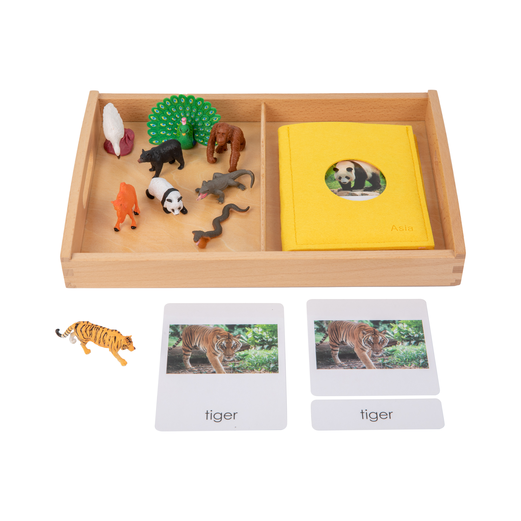 Asia Objects with Sorting Cards G050-4+G050-4M-1+D064