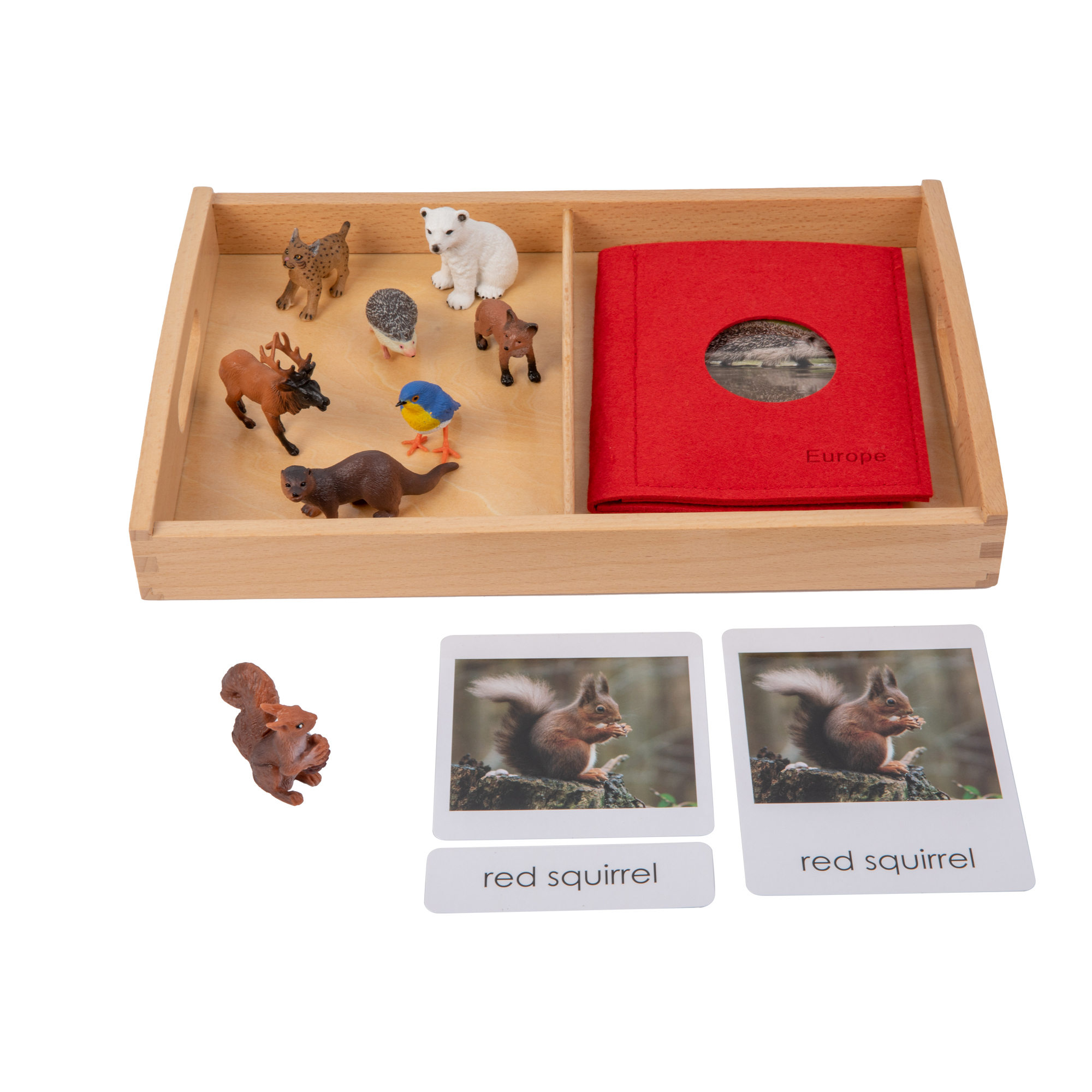 Animal from Europe Objects with Sorting Cards G020-4+G020-4M-1+D064