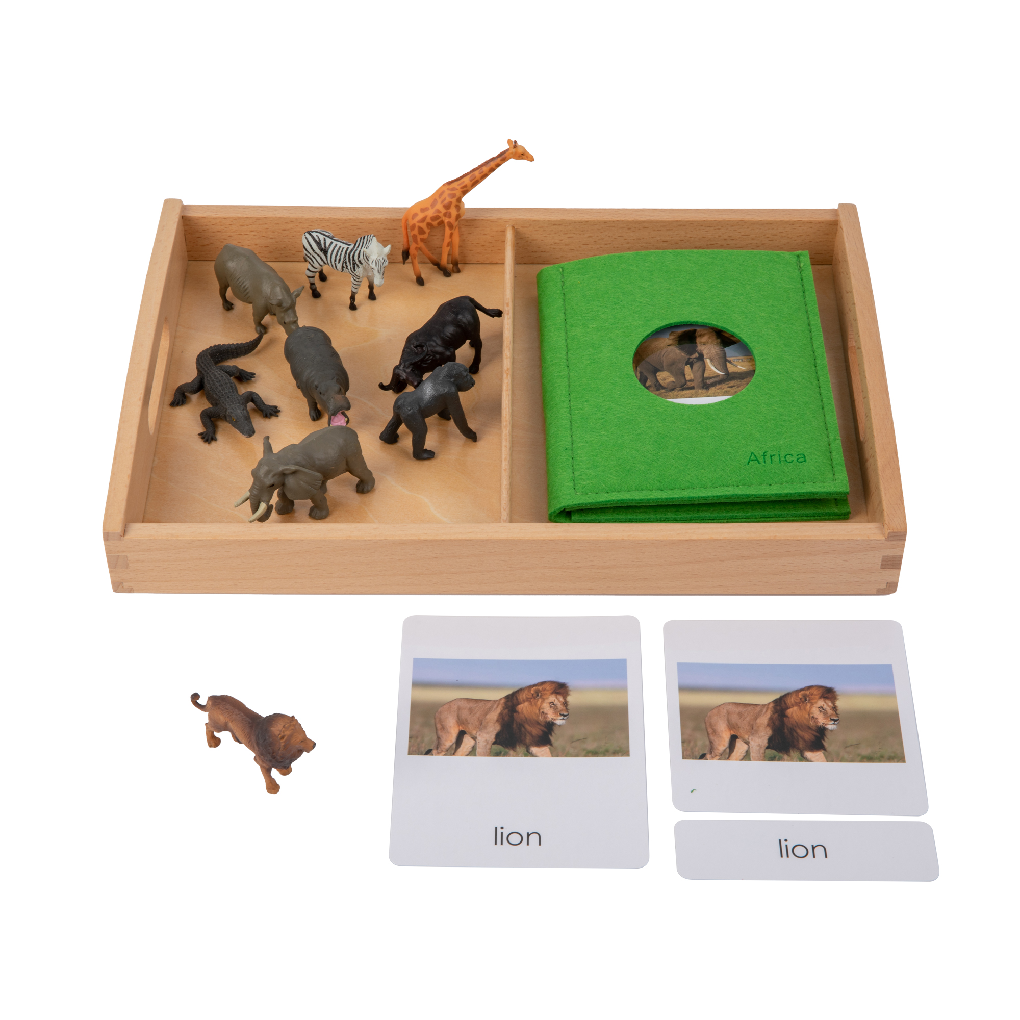 Animal from Africa Objects with Sorting Cards EN G060-4+G060-4M-1+D064