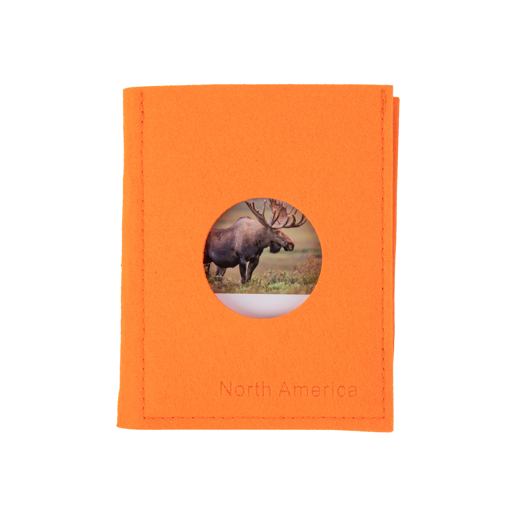 North American Wildlife Sorting Cards EN G020-4M-1