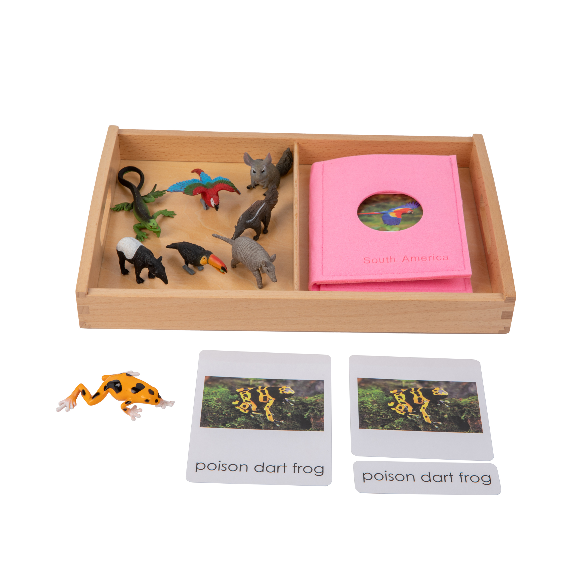Animal from South America Objects with Sorting Cards G040-4+G040-4M-1+D064 