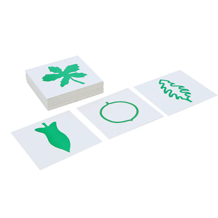 Leaf Cards B090