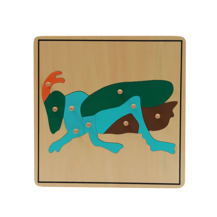 Cricket Puzzle B270