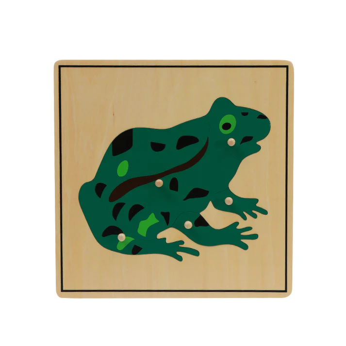 Frog Puzzle B050