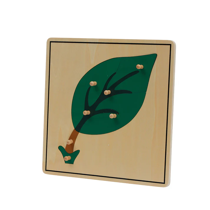 Leaf Puzzle B010