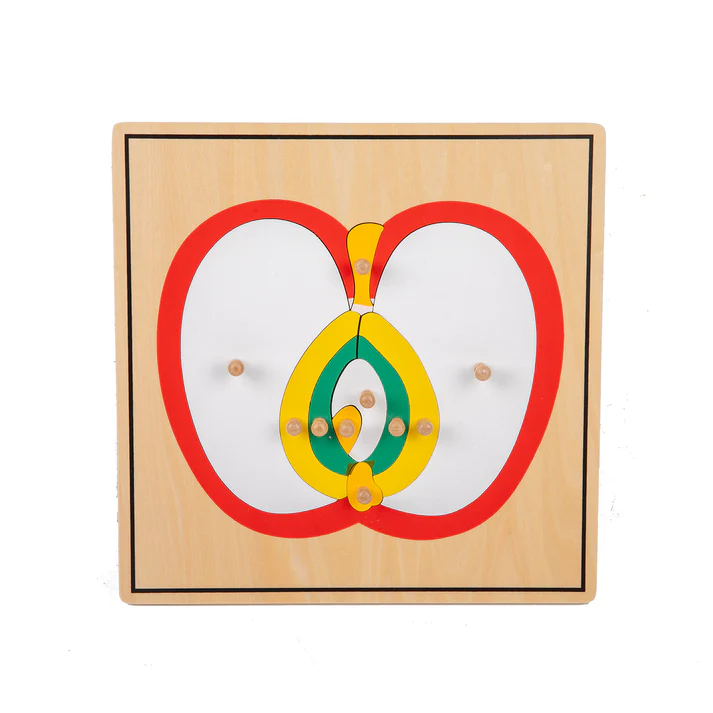 Apple  Puzzle B350