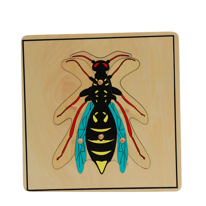 Wasp Puzzle B220