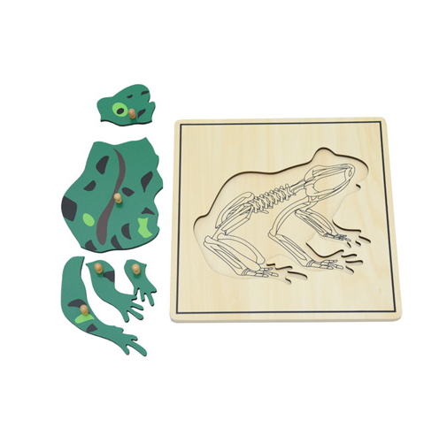Frog & Skeleton Puzzle B056