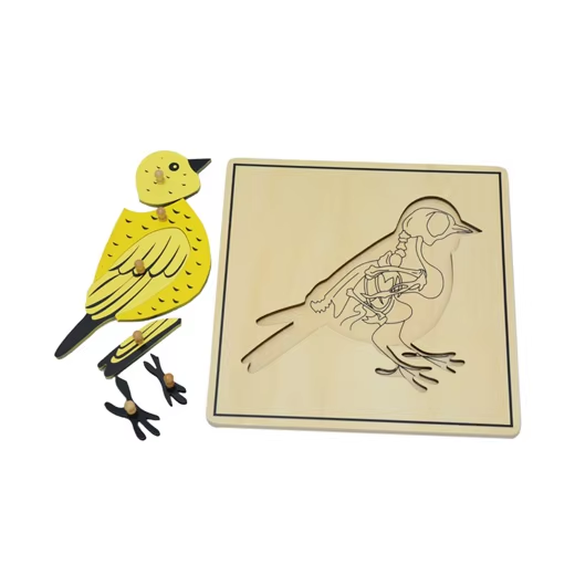 Bird & Skeleton Puzzle B086