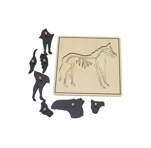 Horse & Skeleton Puzzle B046