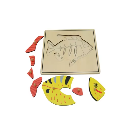 Fish & Skeleton Puzzle B066