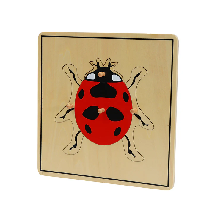 Lady Puzzle B280