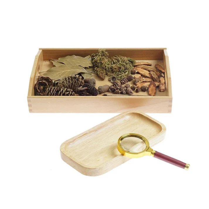 Magnifier Activity D753