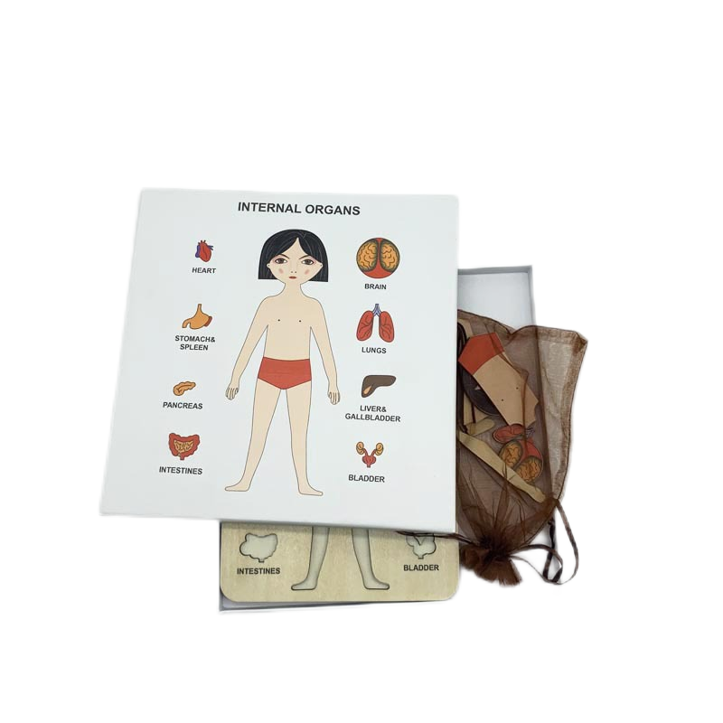 Body parts puzzle-Girl A3404