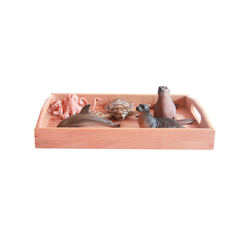 IC Language-Ocean Animals Objects ME033