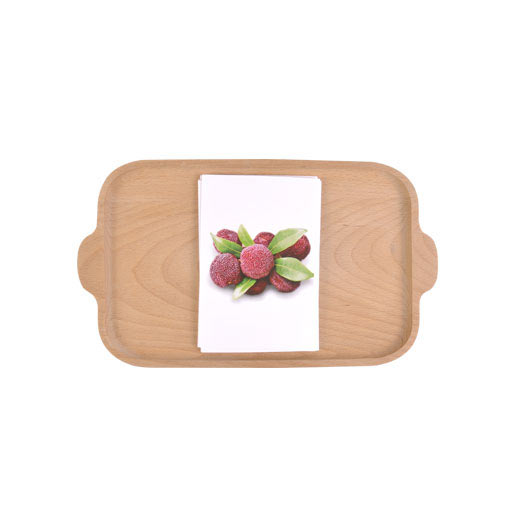 IC Language - Fruits Cards ME048