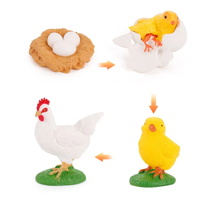 Life Cycle Objects - Chick LTG96