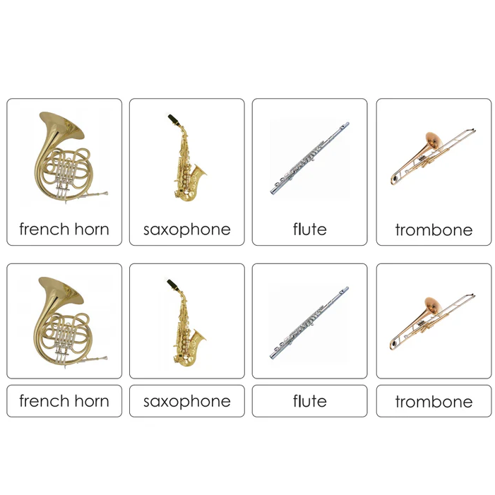 Sorting Cards-Western Instruments EN LC101