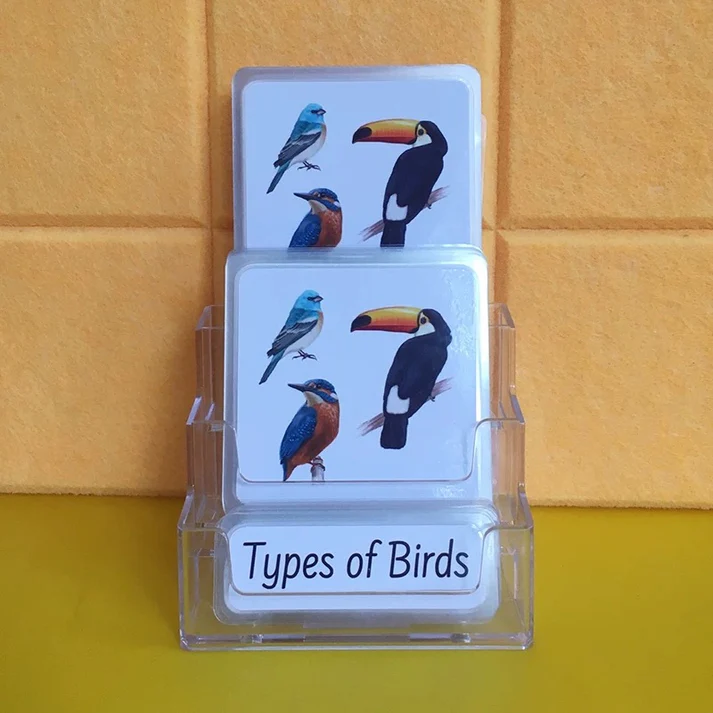 Three-Parts Cards -Types of Birds（16 sets）L5029