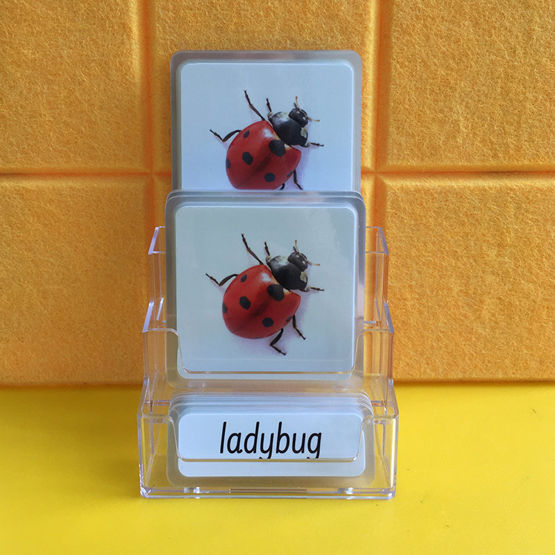Three-Parts Cards -Insects（22 sets) QW006