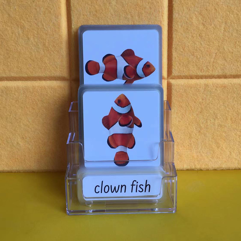Three-Parts Cards -Ocean Animals（24 sets）L5031