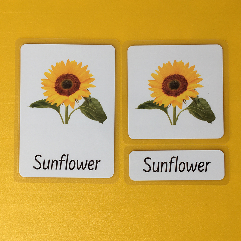 Three-Parts Cards -Flowers（10 sets）QW013