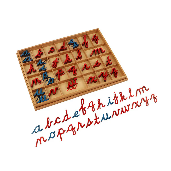 Small Cursive Moveable Alphabet- English Cursive L024