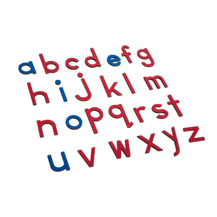 Lowercase Small Movable Alphabet - Blue & Red L035