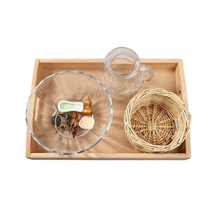 Float and Sink Activity D733