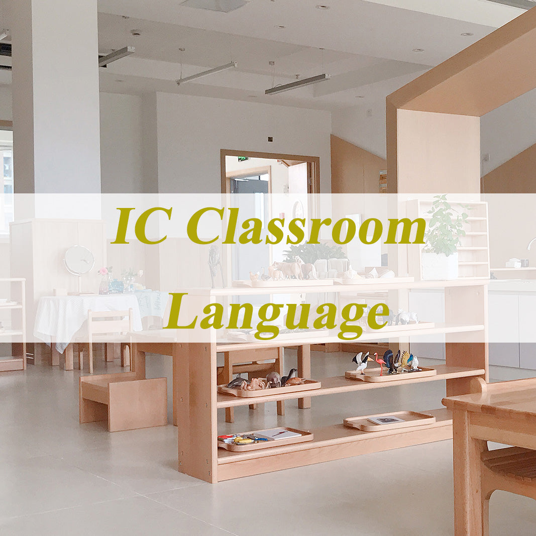 IC Language Package (0-3) | 16 Items